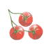 Tomatos